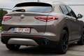 Alfa Romeo Stelvio 2.0t + Dakdragers + Winterset + Zomerset Brun - thumbnail 7