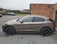 Alfa Romeo Stelvio 2.0t + Dakdragers + Winterset + Zomerset Brun - thumbnail 1