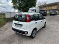 Fiat Panda 1.3 mjt 80cv Bianco - thumbnail 4