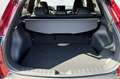 Toyota Corolla Cross 2.0 High Power Hybrid First Edition, Parkeersensor Roşu - thumbnail 12
