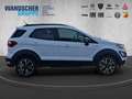 Ford EcoSport 1.0 EcoBoost Active AHK+Kam.+KeyLess+LM Weiß - thumbnail 8