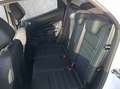 Ford EcoSport 1.0 EcoBoost Active AHK+Kam.+KeyLess+LM Weiß - thumbnail 14