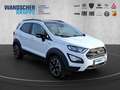 Ford EcoSport 1.0 EcoBoost Active AHK+Kam.+KeyLess+LM Weiß - thumbnail 9