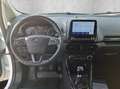 Ford EcoSport 1.0 EcoBoost Active AHK+Kam.+KeyLess+LM Weiß - thumbnail 15