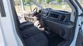 Ford Transit 350 2.0 130CV  CENTINATO 415X212 H230 SOLI 33000KM Blanc - thumbnail 15