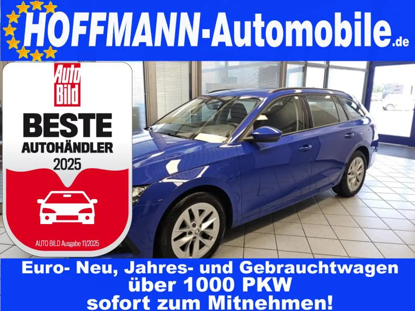 Skoda Octavia Ambition LED,PDC,Smart Link Blau - 1
