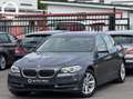 BMW 520 iA Pack Luxury Navi Cam Xénon Soft Close Eu6b Grey - thumbnail 1