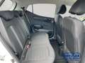 Hyundai i10 Trend 1.0 EU6e Navi Apple CarPlay Android Auto Kli Alb - thumbnail 13