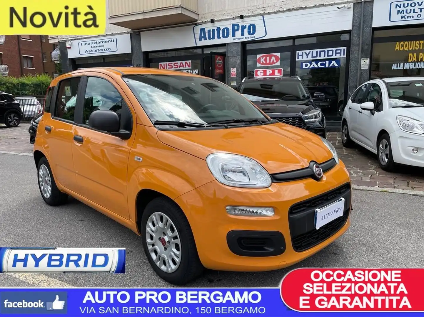 Fiat Panda 1.0 firefly hybrid 5POSTI, UNICO PROPRIETARIO Arancione - 1