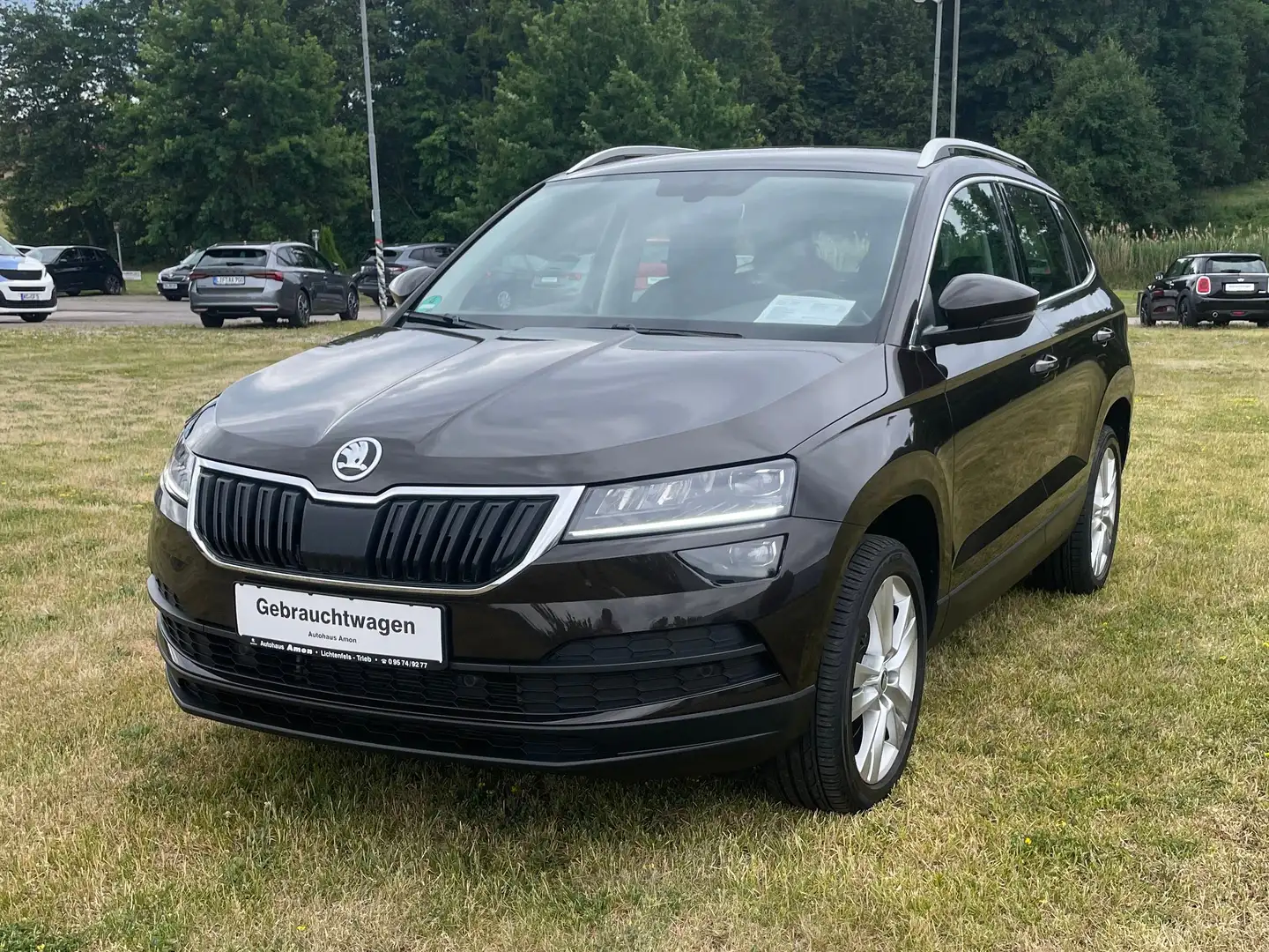Skoda Karoq 1.5 TSI ACT Style Коричневый - 2