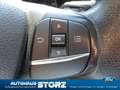 Ford Transit Custom Transit Custom 9-Sitzer Grün - thumbnail 19