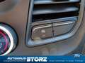Ford Transit Custom Transit Custom 9-Sitzer Grün - thumbnail 22