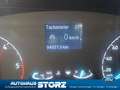 Ford Transit Custom Transit Custom 9-Sitzer Grün - thumbnail 20