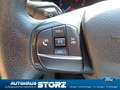 Ford Transit Custom Transit Custom 9-Sitzer Grün - thumbnail 18