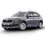 Skoda Kamiq 1.0 TSI 110 CV Ambition Gris - thumbnail 1