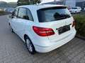 Mercedes-Benz B 200 B 200 (246.243) Weiß - thumbnail 8