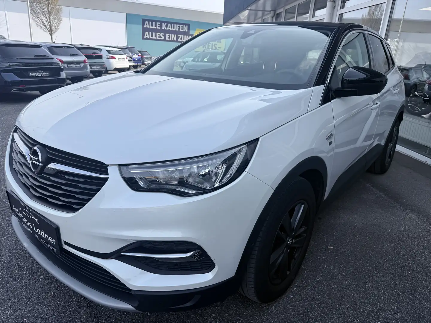 Opel Grandland X 1,5 CDTI BlueInjection 120 Edition Weiß - 1