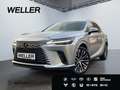 Lexus RX 350 h Executive Line *21''*Nachtsicht*HUD*360°* Silber - thumbnail 1