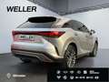 Lexus RX 350 h Executive Line *21''*Nachtsicht*HUD*360°* Silber - thumbnail 18