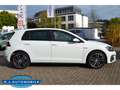 Volkswagen Golf VII GTE ,Leder,Navi,TOP Blanc - thumbnail 5