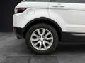 Land Rover Range Rover Evoque *AUTOM*PANO*RFK*LEDER*NAVI Weiß - thumbnail 11