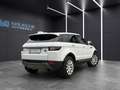 Land Rover Range Rover Evoque *AUTOM*PANO*RFK*LEDER*NAVI Weiß - thumbnail 5