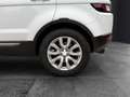 Land Rover Range Rover Evoque *AUTOM*PANO*RFK*LEDER*NAVI Weiß - thumbnail 10