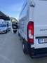 Fiat DUCATO 35PM H2 NATURAL POWER Bianco - thumbnail 4