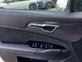 Kia Sportage Sportage 1.6 tgdi phev GT-line Sunroof Pack awd a Argento - thumbnail 12