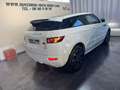 Land Rover Range Rover EVOQUE Evoque SD4 Dynamic A Blanc - thumbnail 6