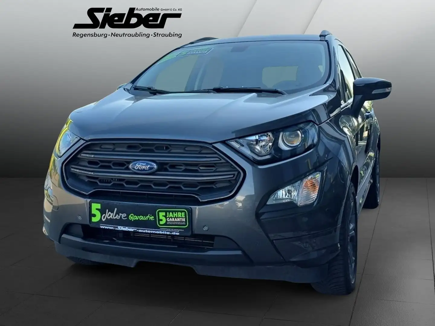 Ford EcoSport 1.0 EcoBoost ST-Line Navigation*Xenon* Grijs - 2