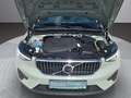 Volvo XC40 B3 Plus Bright Aut.*LEDER/ACC/1.BESITZ* Grau - thumbnail 6