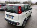 Fiat Panda 1.2 Pop Weiß - thumbnail 4