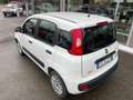 Fiat Panda 1.2 Pop Weiß - thumbnail 5