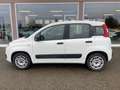 Fiat Panda 1.2 Pop Weiß - thumbnail 1
