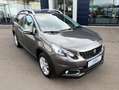 Peugeot 2008 1,2 PureTech 82 Signature S&S Grau - thumbnail 3