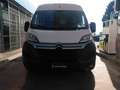 Citroen jumper Bianco - thumbnail 3
