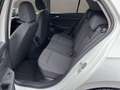 Volkswagen Golf 8 -  4 Zylinder- NEUWAGEN nur € 22.499,-* Weiß - thumbnail 10