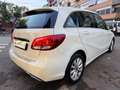 Mercedes-Benz B 200 2.2 Cdi (Motore Mercedes) 136cv Automatica UNIPRO Blanc - thumbnail 6