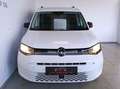 Volkswagen Caddy Life 2,0 TDI DSG Weiß - thumbnail 2