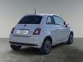 Fiat 500 FireFly Hybrid 70 Star Weiß - thumbnail 5