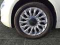 Fiat 500 FireFly Hybrid 70 Star Weiß - thumbnail 15