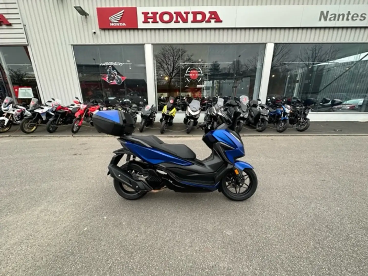 Honda Blu/Azzurro - 1