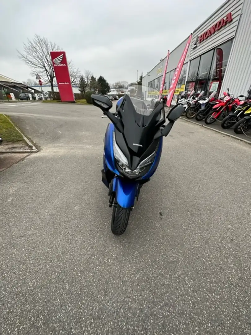 Honda Blu/Azzurro - 2