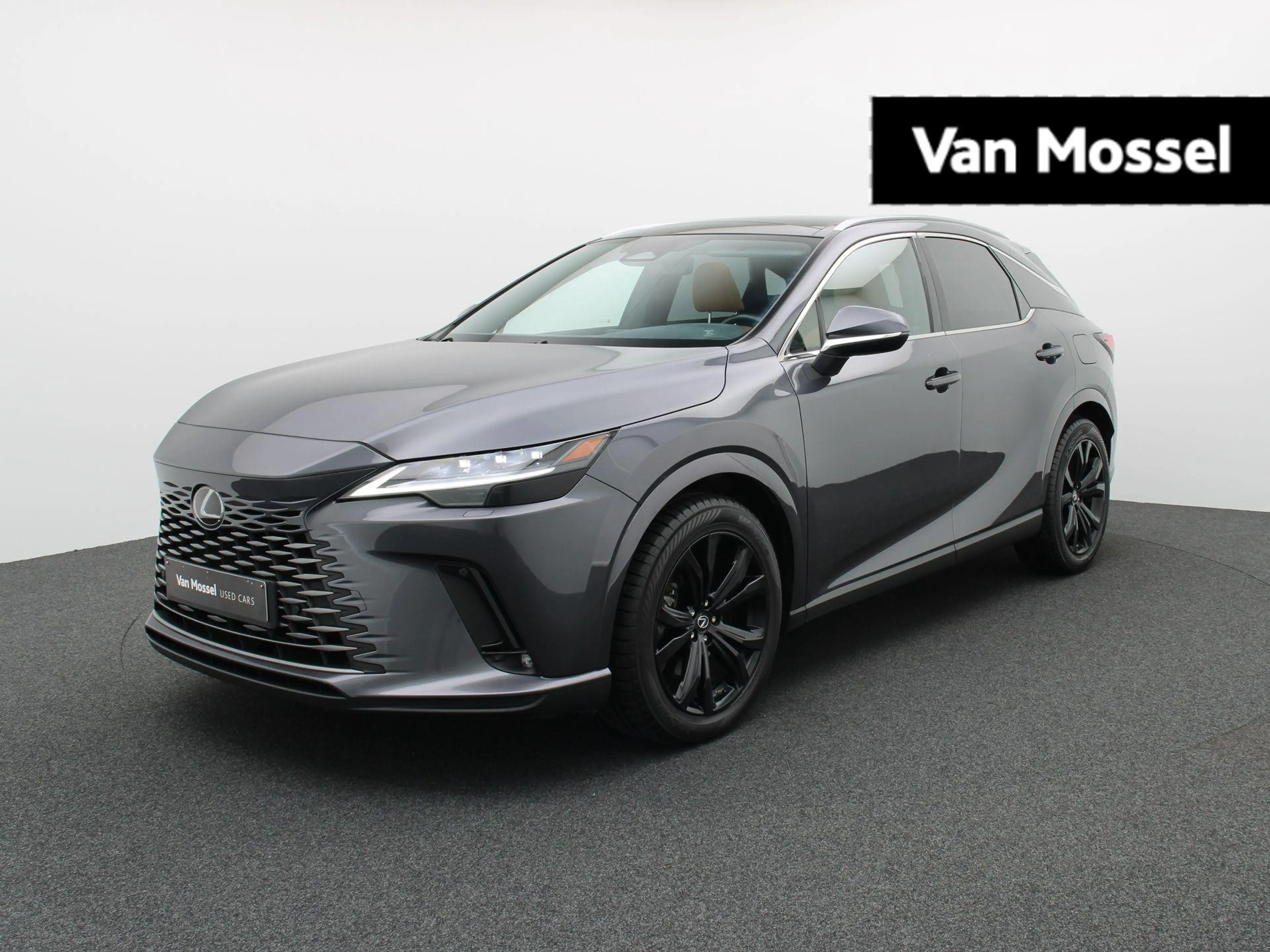 Lexus RX 450h 450h+ 4x4 F Sport Design Line LICHTE VRACHT !