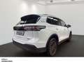 Volkswagen Tiguan 2.0 TDI DSG GOAL 4MOTION - AHK Pano HD Matrix LED Weiß - thumbnail 3