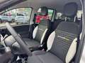 Fiat New Panda PANDINA CROSS HYBRID 1.0cc 70cv Weiß - thumbnail 10