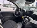 Fiat New Panda PANDINA CROSS HYBRID 1.0cc 70cv Weiß - thumbnail 11