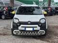 Fiat New Panda PANDINA CROSS HYBRID 1.0cc 70cv Weiß - thumbnail 12