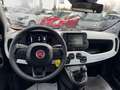 Fiat New Panda PANDINA CROSS HYBRID 1.0cc 70cv Weiß - thumbnail 6